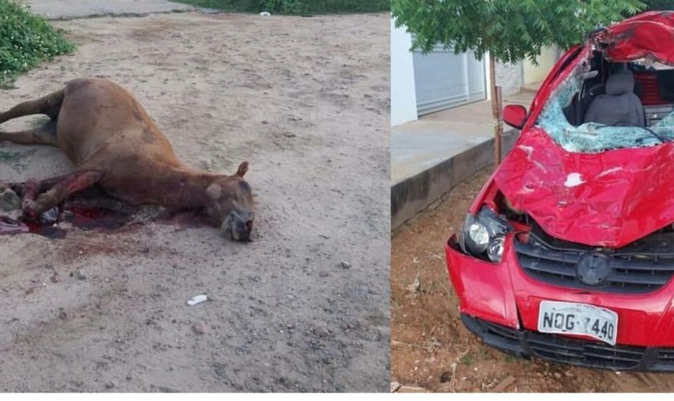 TRAGÉDIA: Colisão envolvendo um cavalo e um carro deixa policial civil morto próximo a Patos