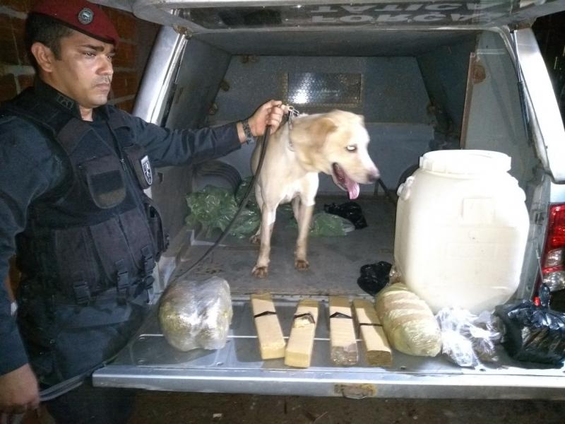 Polícia prende suspeitos de crimes e apreende quase 10 kg de drogas em Mandacaru e Cruz das Armas