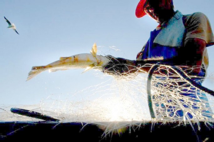 Aprovação de projeto na Câmara dos Deputados garante pagamento do Seguro Defeso aos pescadores da Paraíba