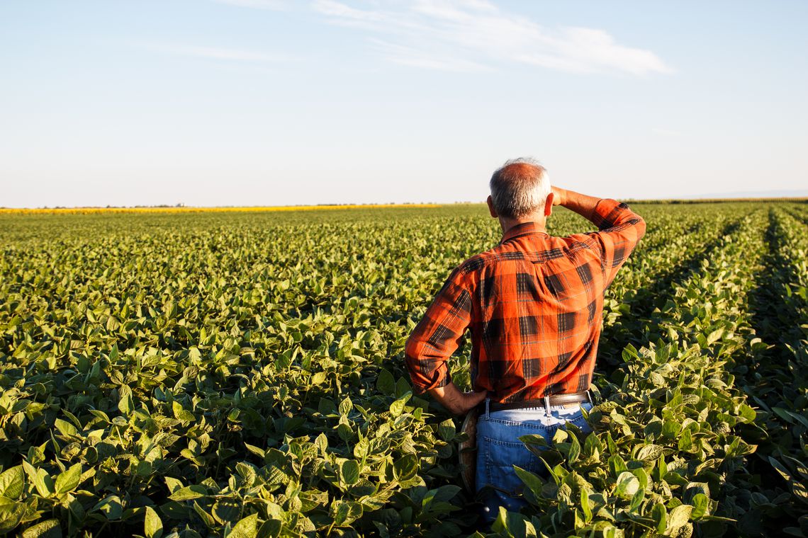 NEGOCIAÇÃO: Produtores rurais de todo Brasil têm até segunda para aderir ao Refis Rural