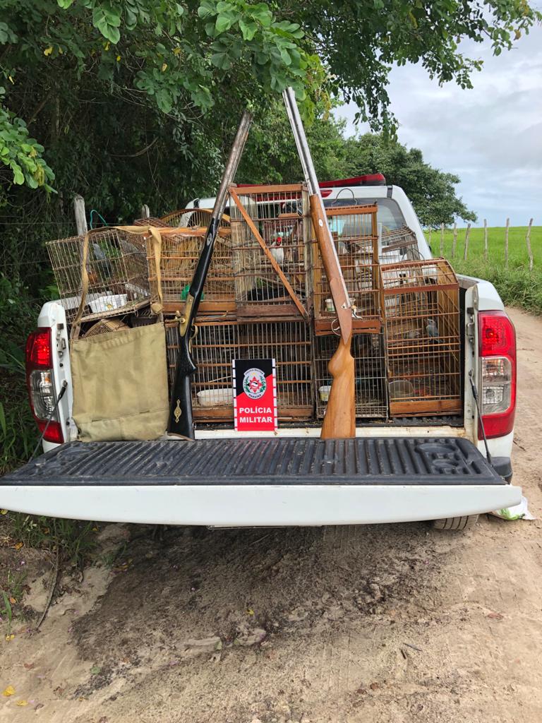 Batalhão de Polícia Ambiental apreende armas de fogo e aves silvestres no município de Araçagi