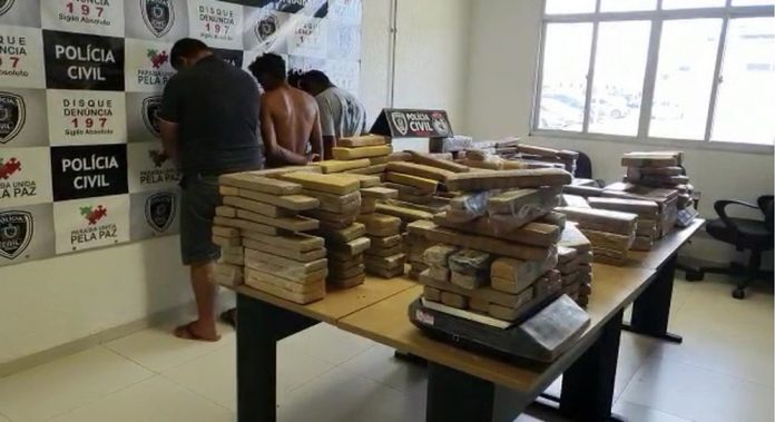 Polícia Civil da Paraíba apreende 350 kg de maconha na comunidade Cachimbo Apagado, na cidade de Bayeux