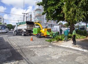 Prefeitura da Capital realiza poda preventiva de árvores na Travessa Tito Silva