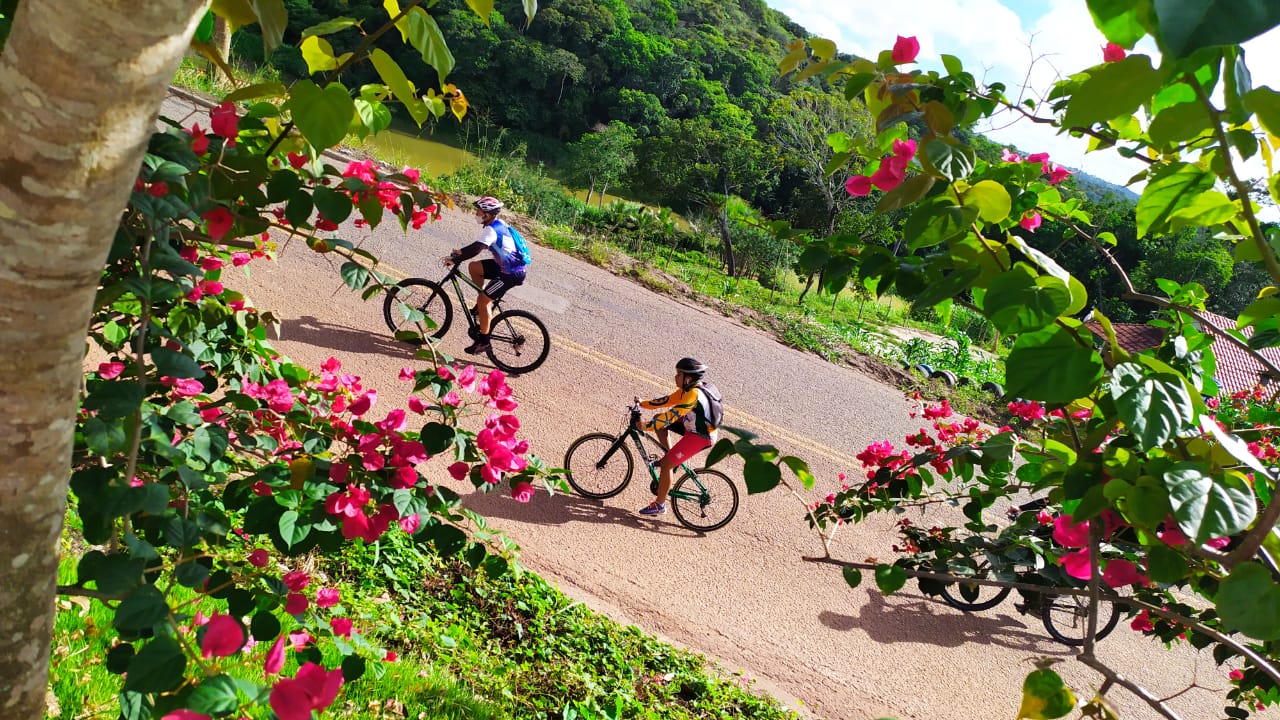 Estradas das Bougainvilles: Mais de 500 mudas de bougainvilles foram plantadas na PB-079