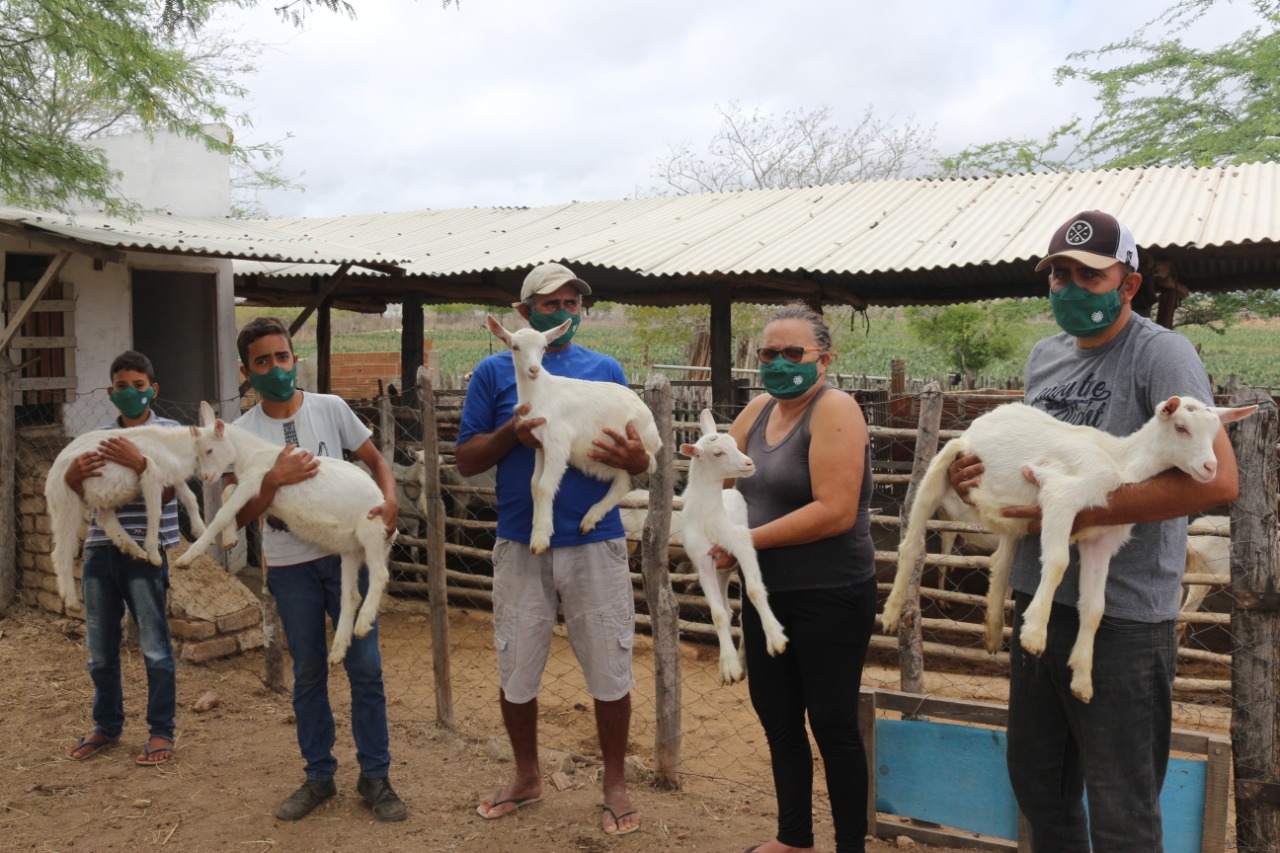 Integração de projetos do Sistema CNA/Senar melhora produção de leite de cabra na Paraíba