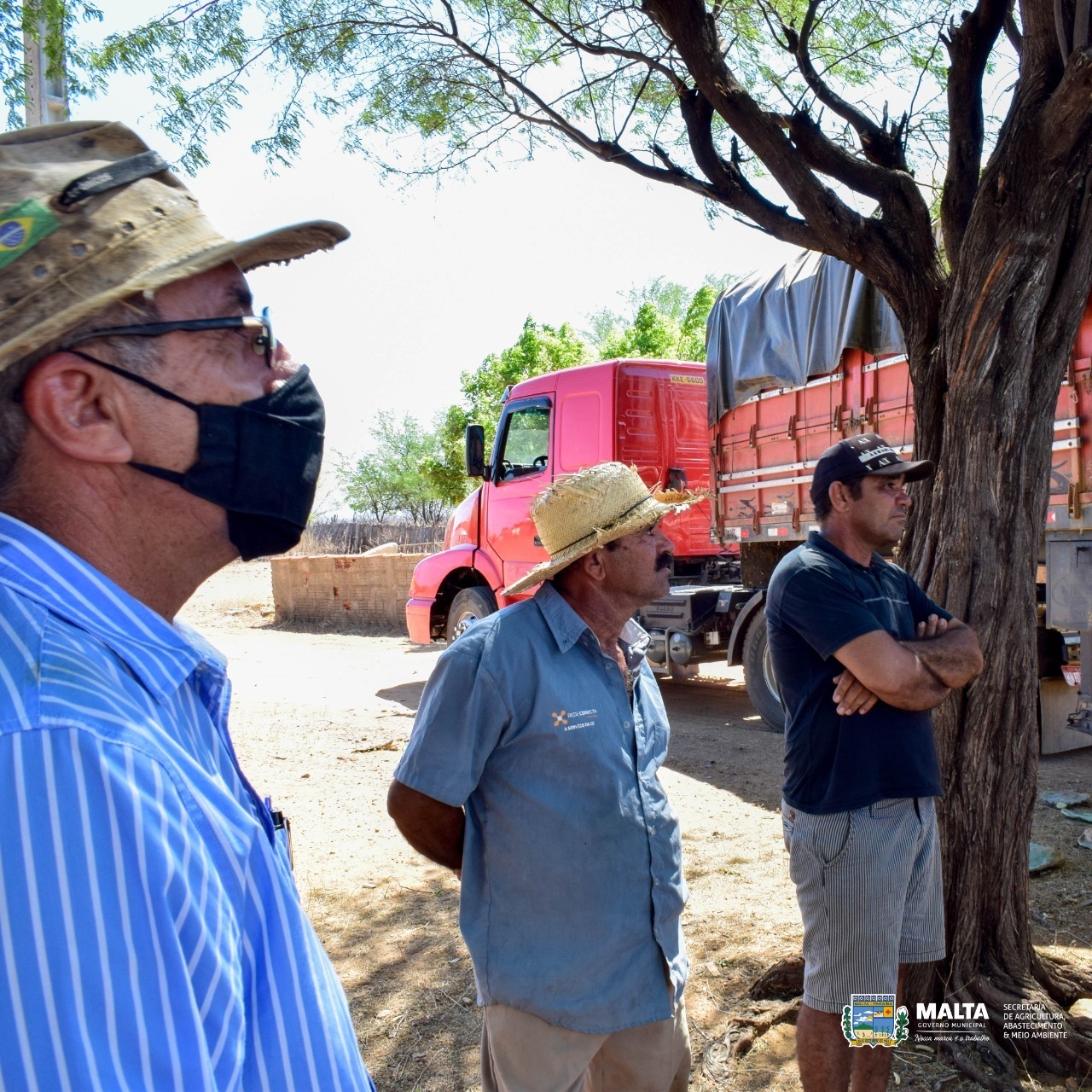 Secretaria da Agricultura de Malta distribui 20 mil raquetes de palmas para produtores rurais