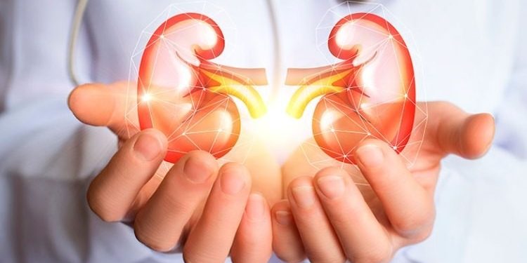 No Dia Mundial do Rim, descontrole do diabetes é uma das causas mais frequentes da doença renal crônica