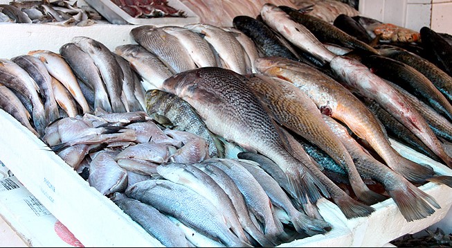 Central de Comercialização da Agricultura Familiar em João Pessoa tem mais de 1,5 toneladas de pescado para atender aos consumidores até esta sexta-feira