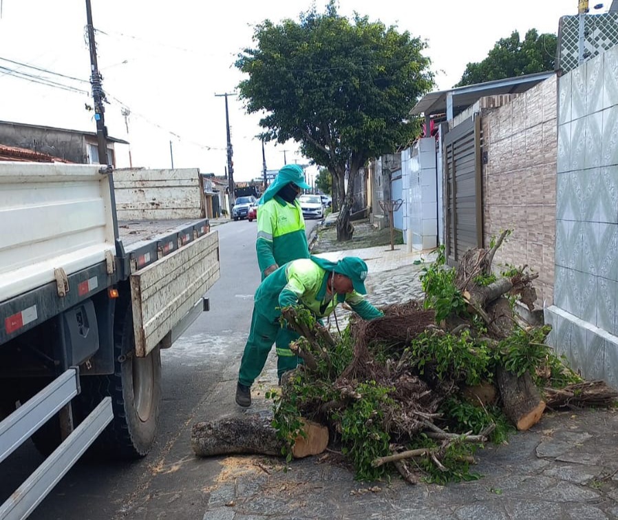 Cidade de limpa: Emlur recolhe resíduos de poda de árvores em oito bairros; veja quais são