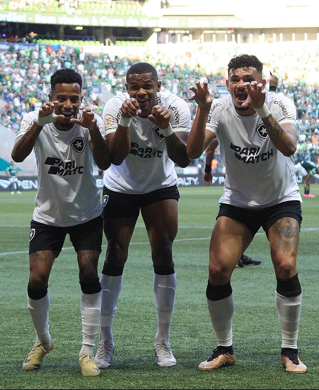 Botafogo-RJ derrota o Palmeiras no no Allianz Parque e abre sete pontos de vantagem para o Grêmio, novo vice-líder