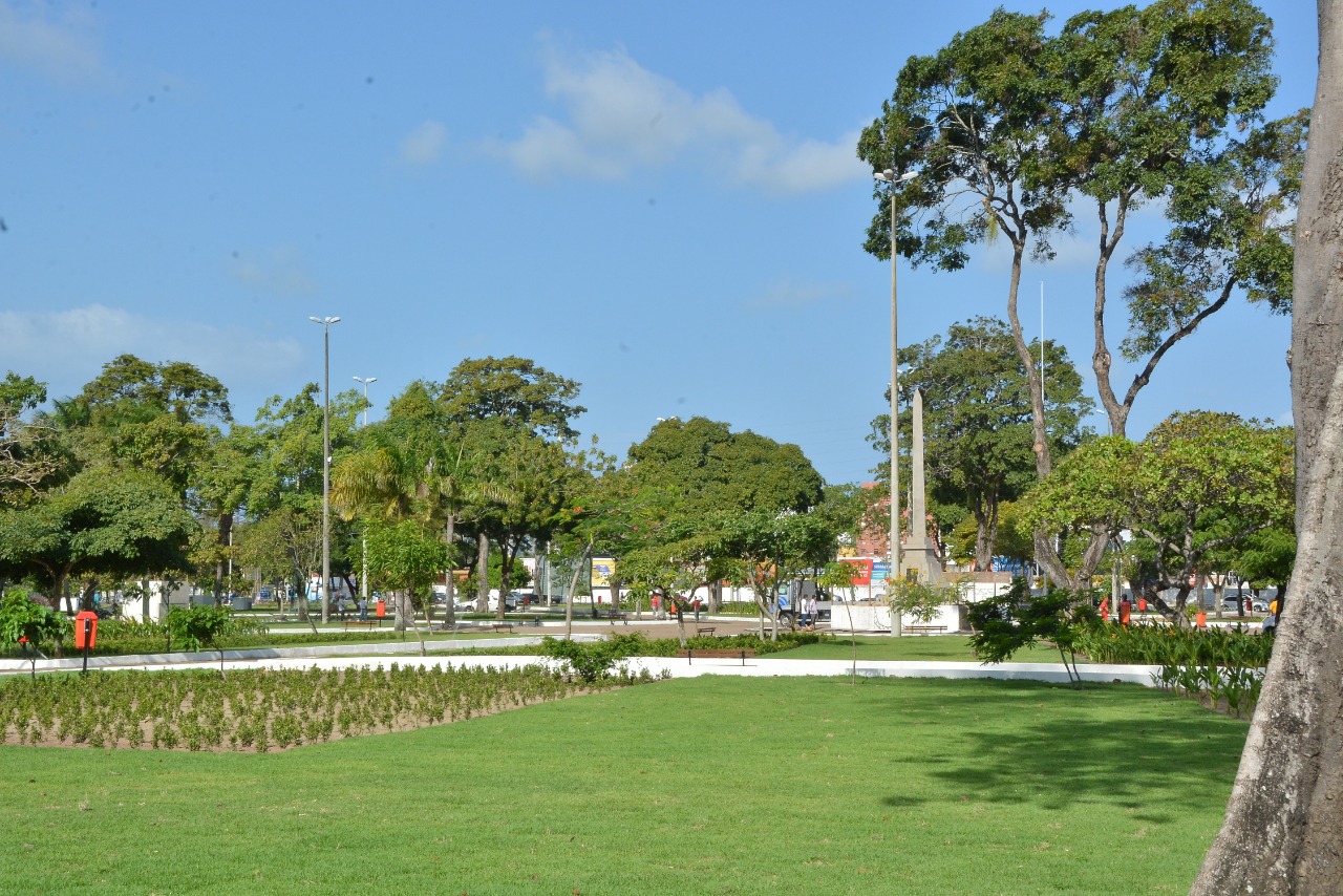 Secretaria de Meio Ambiente de João Pessoa lança Manual de Arborização Urbana, nesta quarta-feira