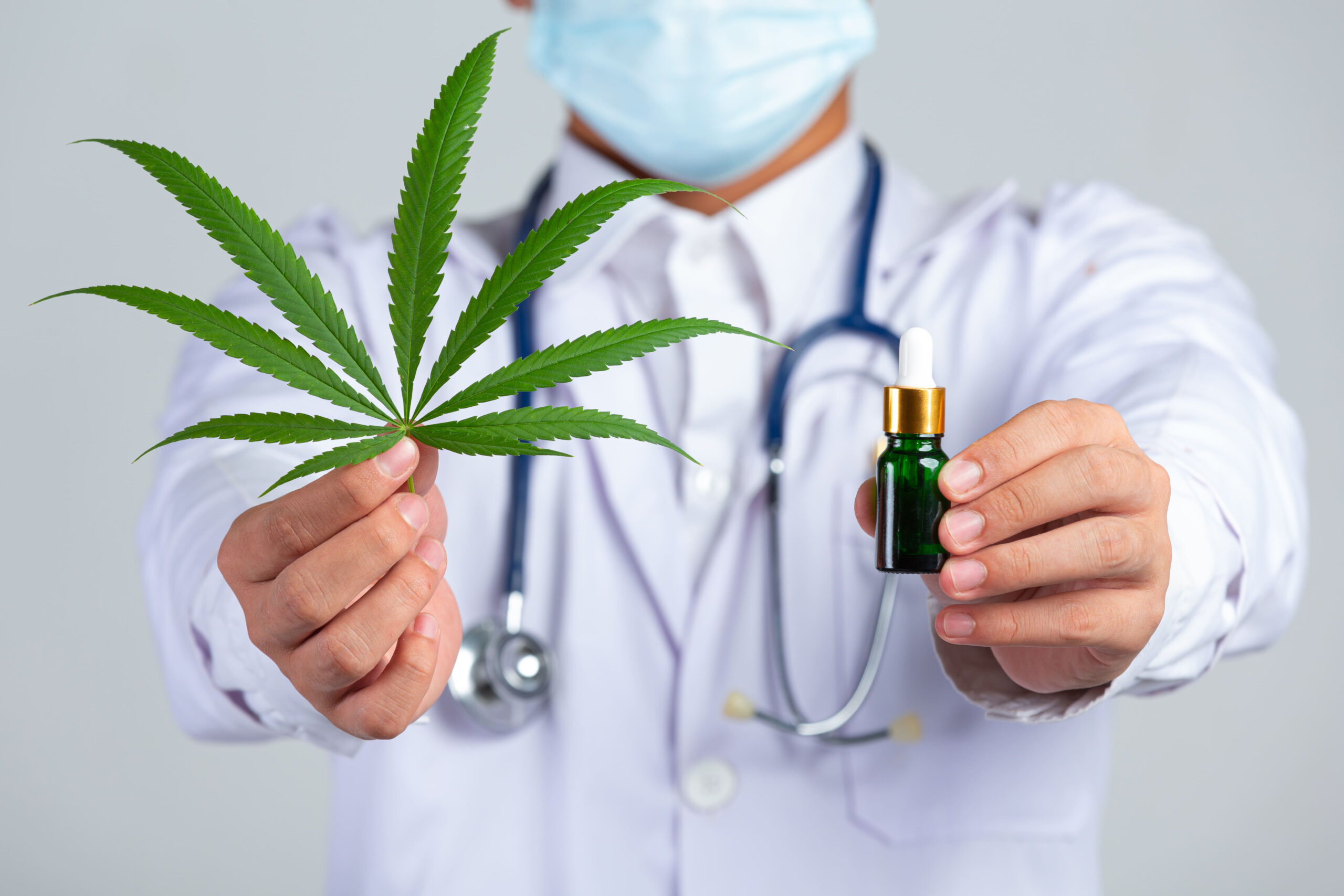 Médicos poderão aprofundar conhecimentos em cannabis medicinal, em evento científico