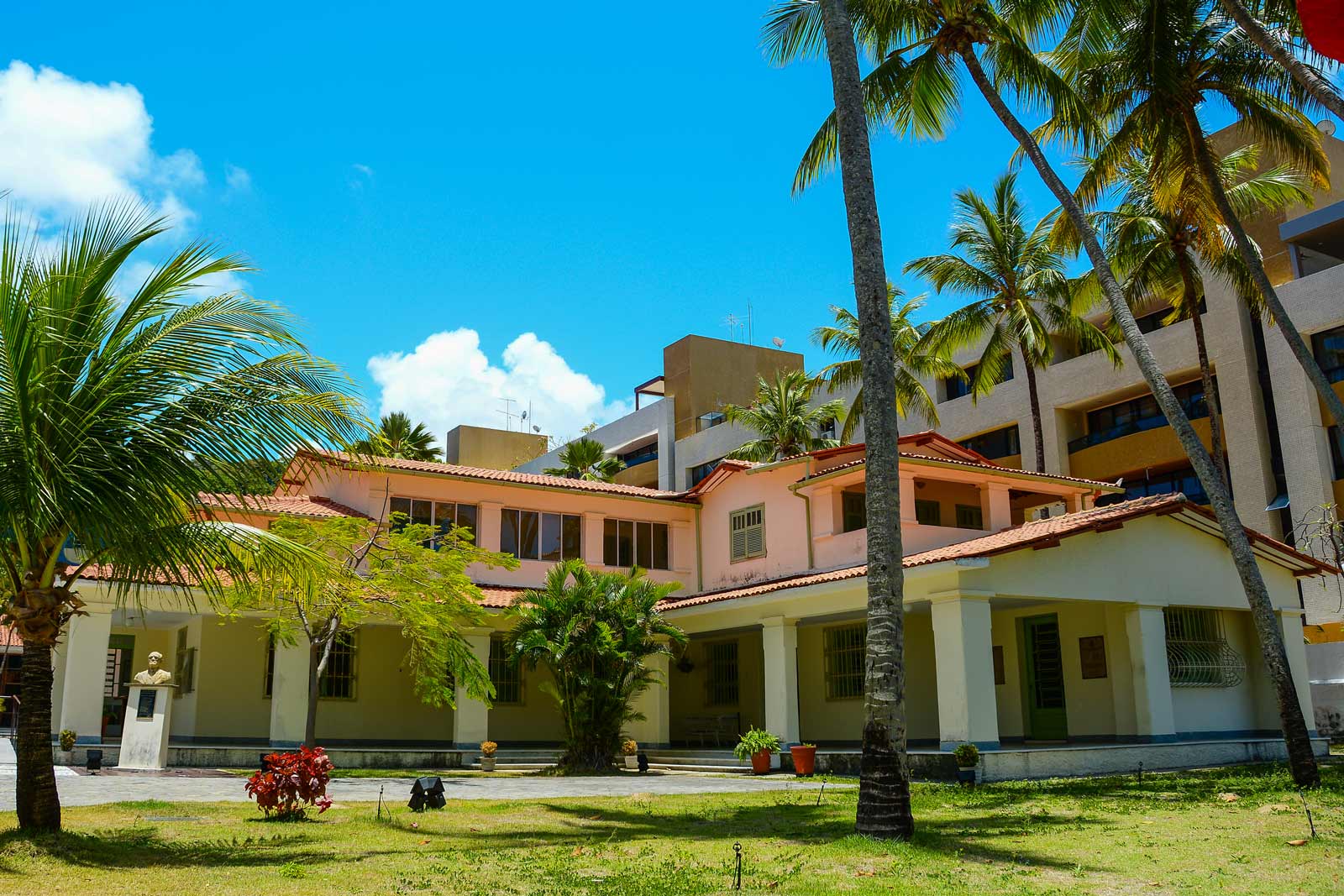 Fundação Casa de José Américo promove live sobre literatura popular, nesta quinta-feira