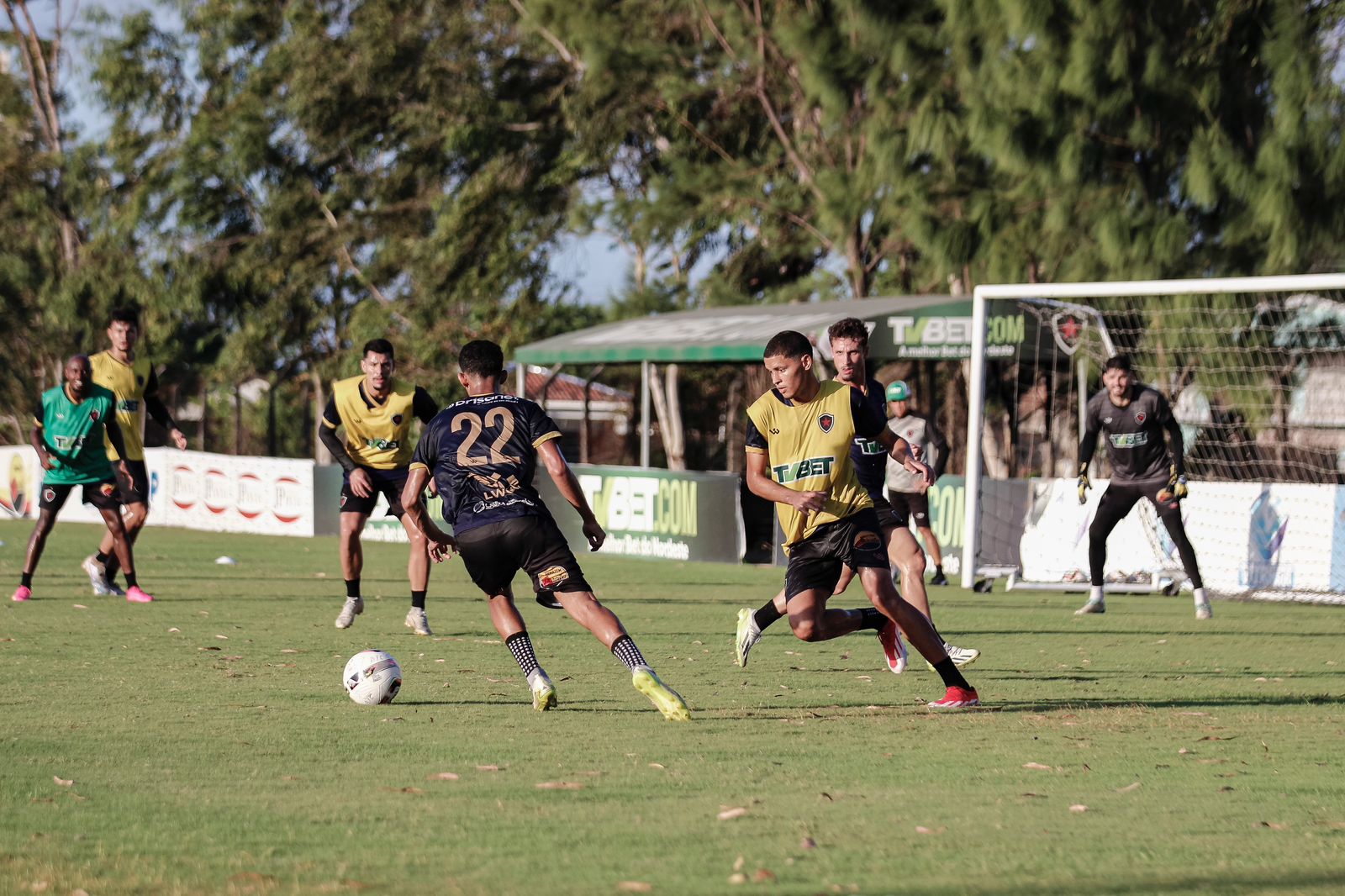 Invicto, Botafogo enfrenta o Pombal pela 6ª rodada do Paraibano no José Cavalcanti, neste domingo