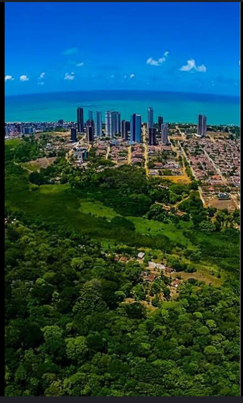 Cidades Árvores do Mundo: João Pessoa conquista pela 3ª consecutiva certificação da "Arbor Day Foundation"