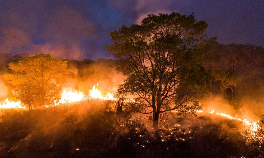 Pantanal tem recorde histórico de queimadas no 1º semestre de 2024