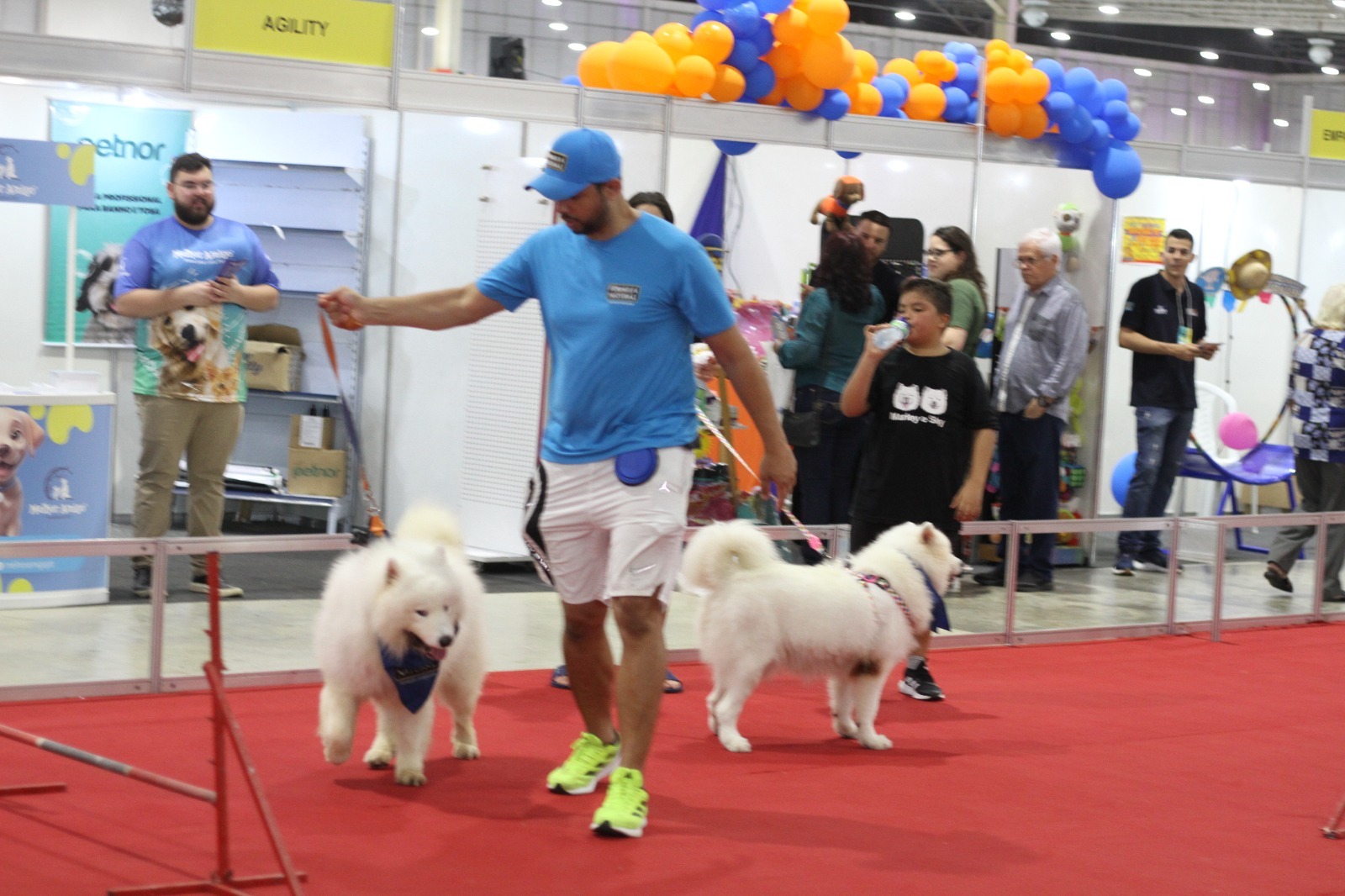 Multifeira Brasil Mostra Brasil tem competições, desfiles e exposição de animais a partir deste domingo